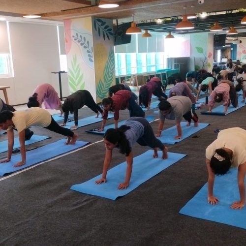 WhatsApp Image 2025-07-02 at 19.09.40